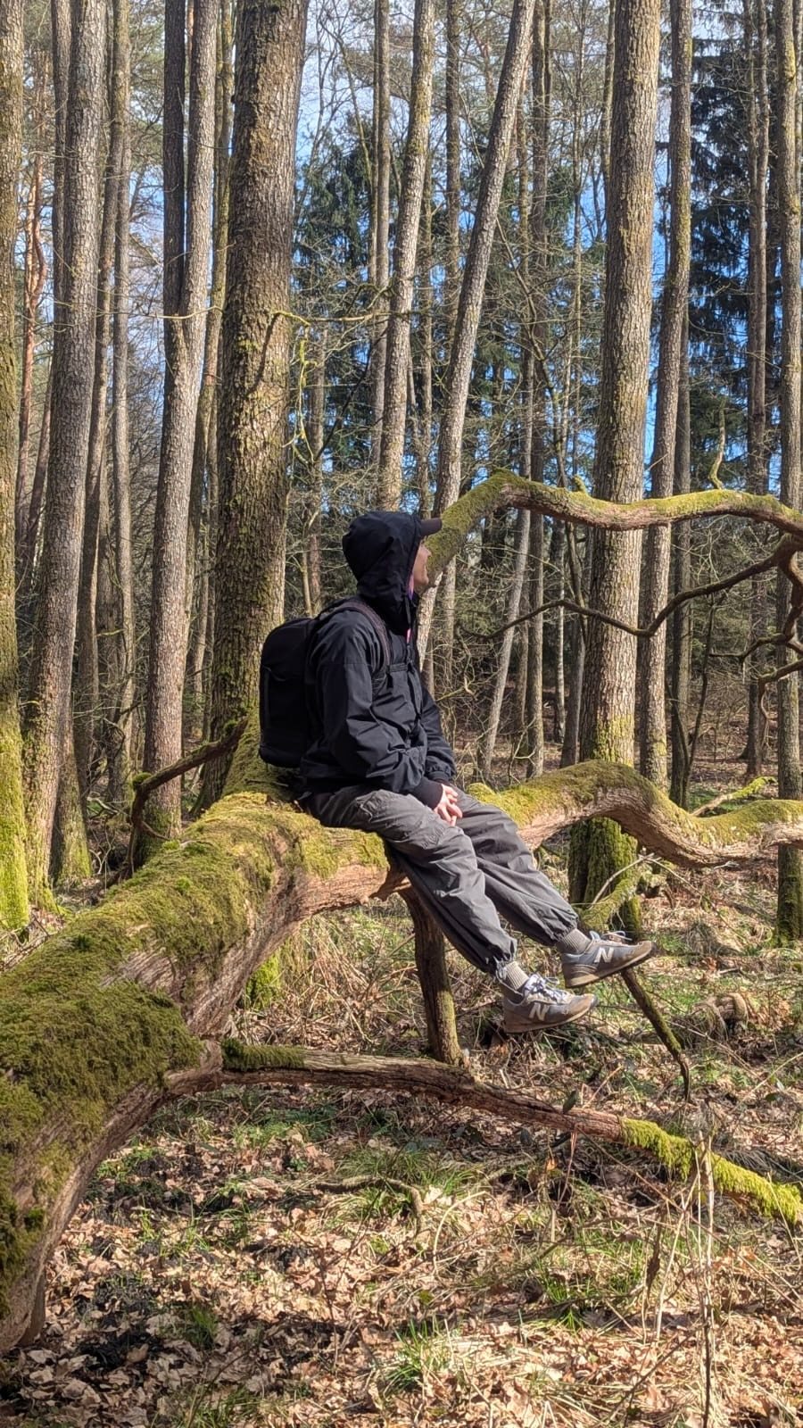 Paula Kahre sitzt auf einem bemoosten, umgest&uuml;rzten Baumstamm im Wald und schaut nach oben in die Baumkronen