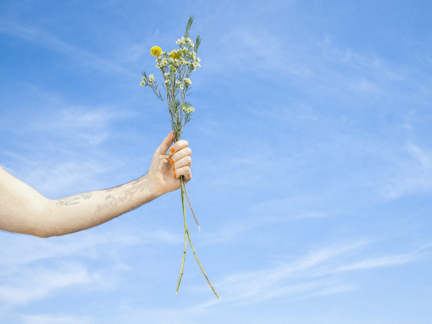 Hand hält Wildblumen vor blauem Himmel
